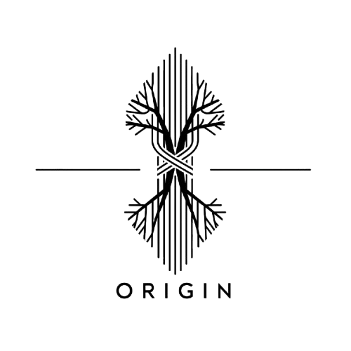 ORIGIN